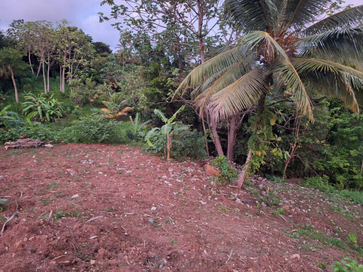 vente Terrain commercial Saint Esprit - Photo 3