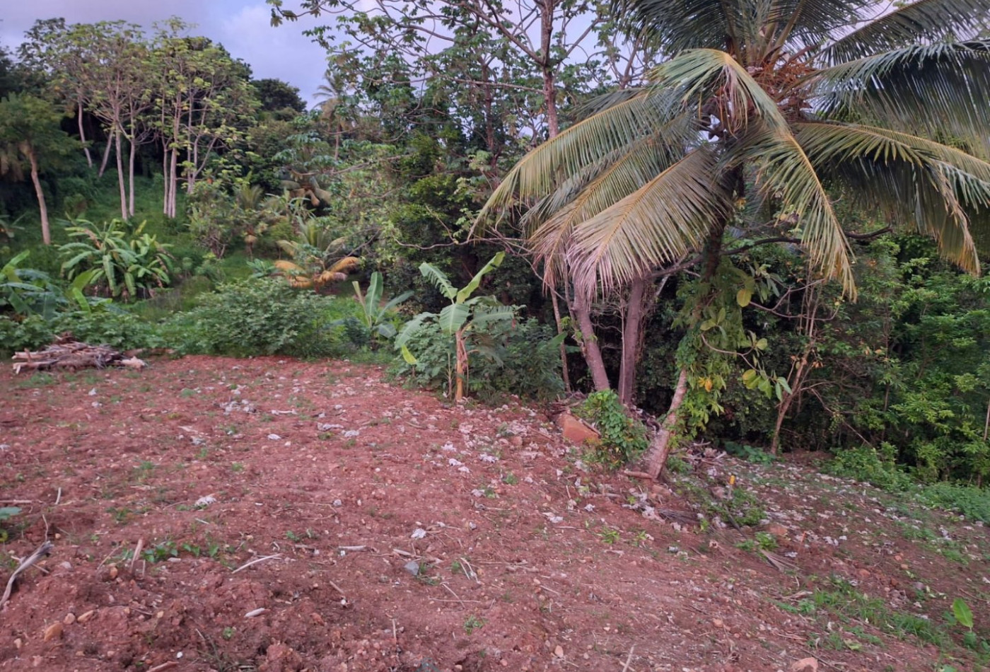 vente Terrain commercial Saint Esprit - Photo 3