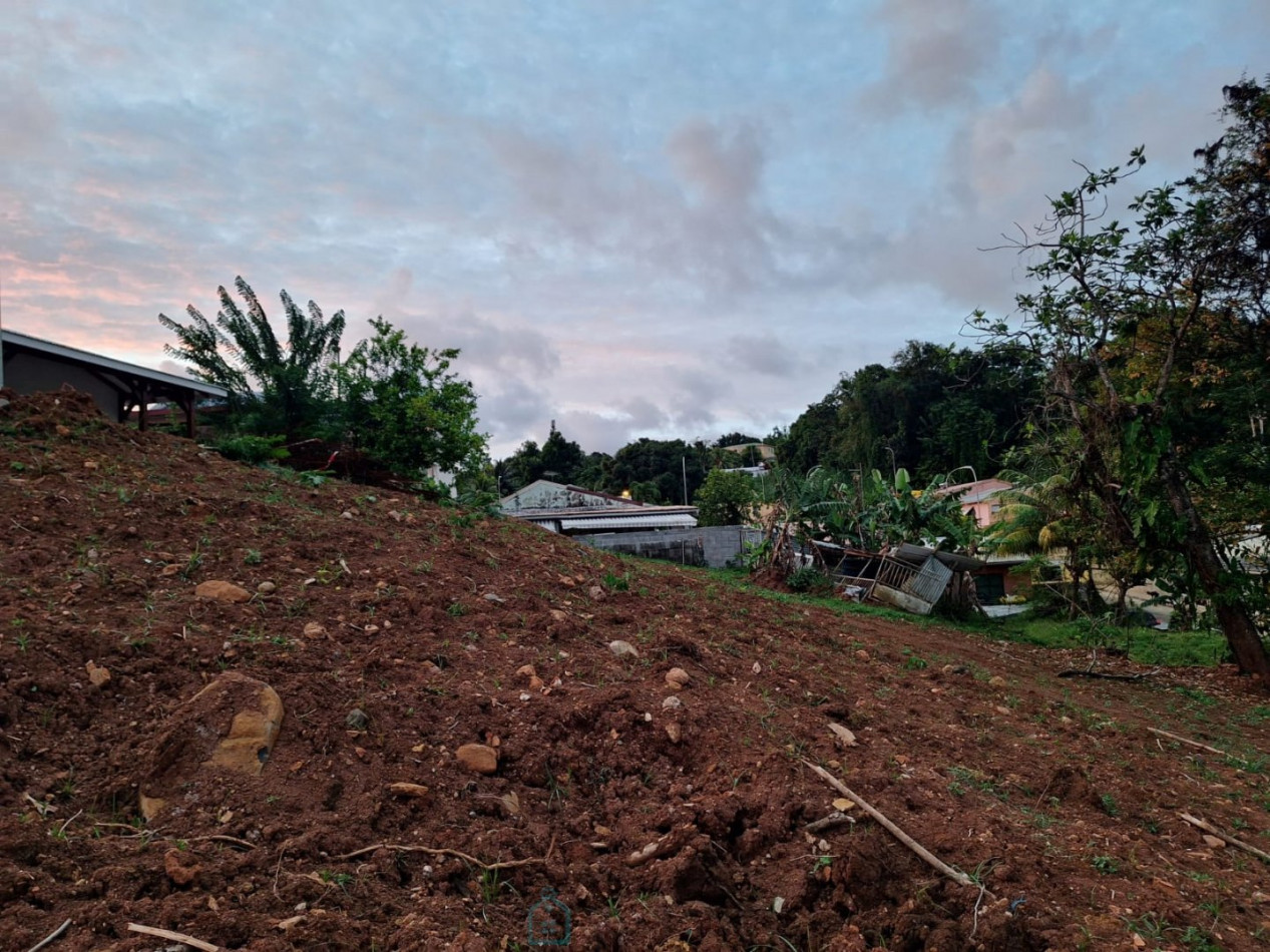 vente Terrain commercial Saint Esprit - Photo 4