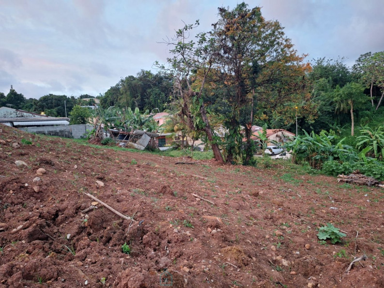 vente Terrain commercial Saint Esprit - Photo 1