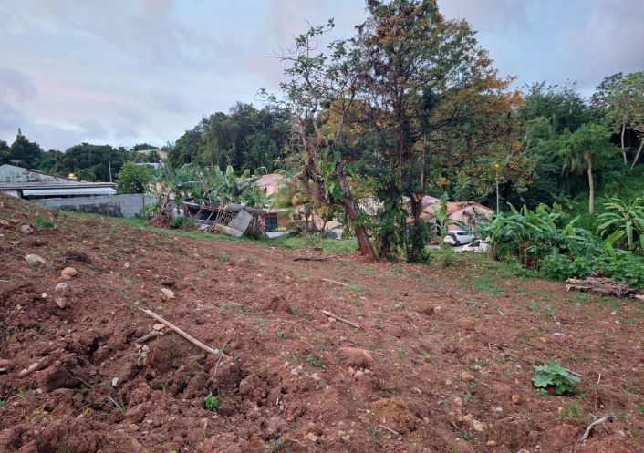 vente Terrain commercial Saint Esprit