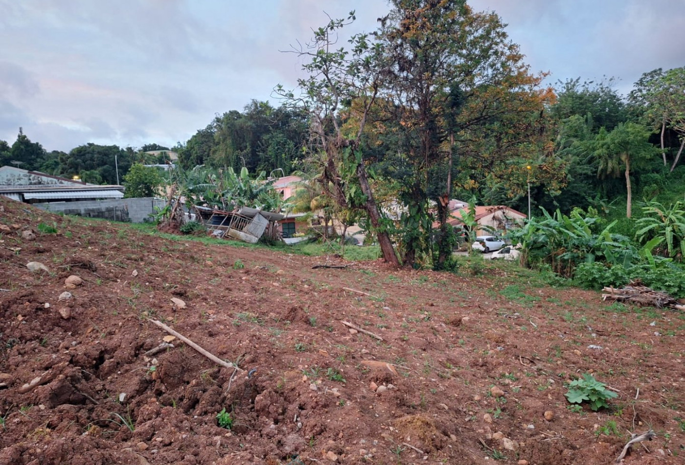 vente Terrain commercial Saint Esprit - Photo 1