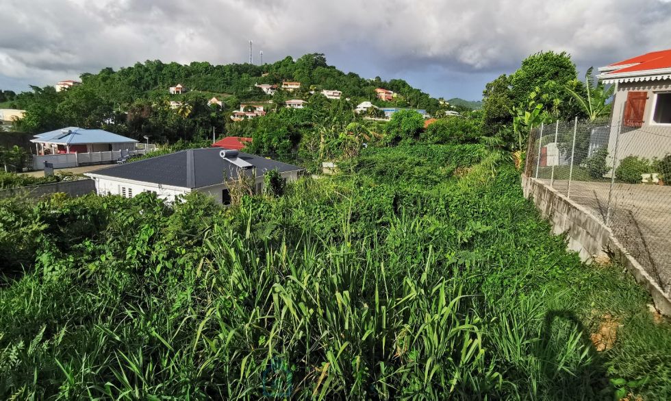 vente  Riviere Salee