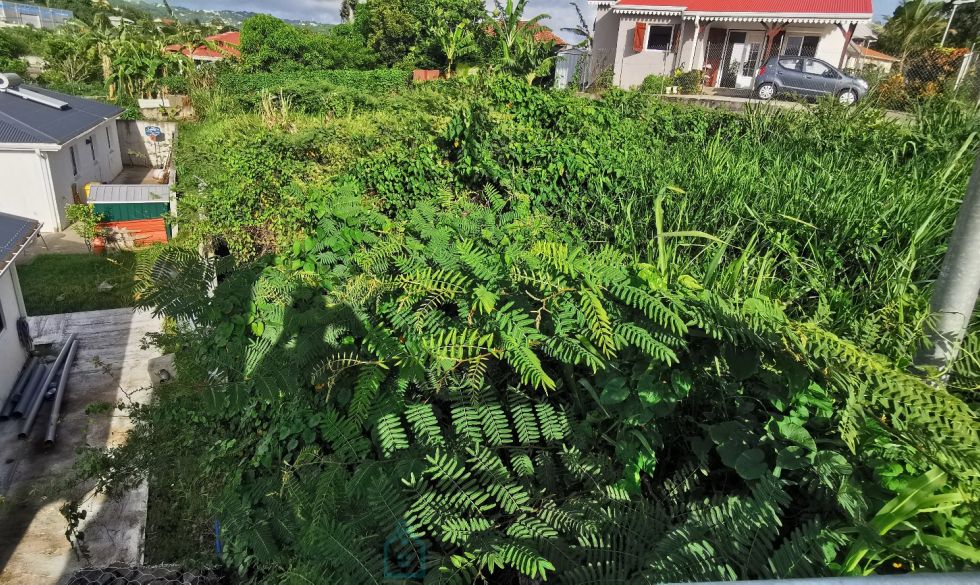 vente  Riviere Salee