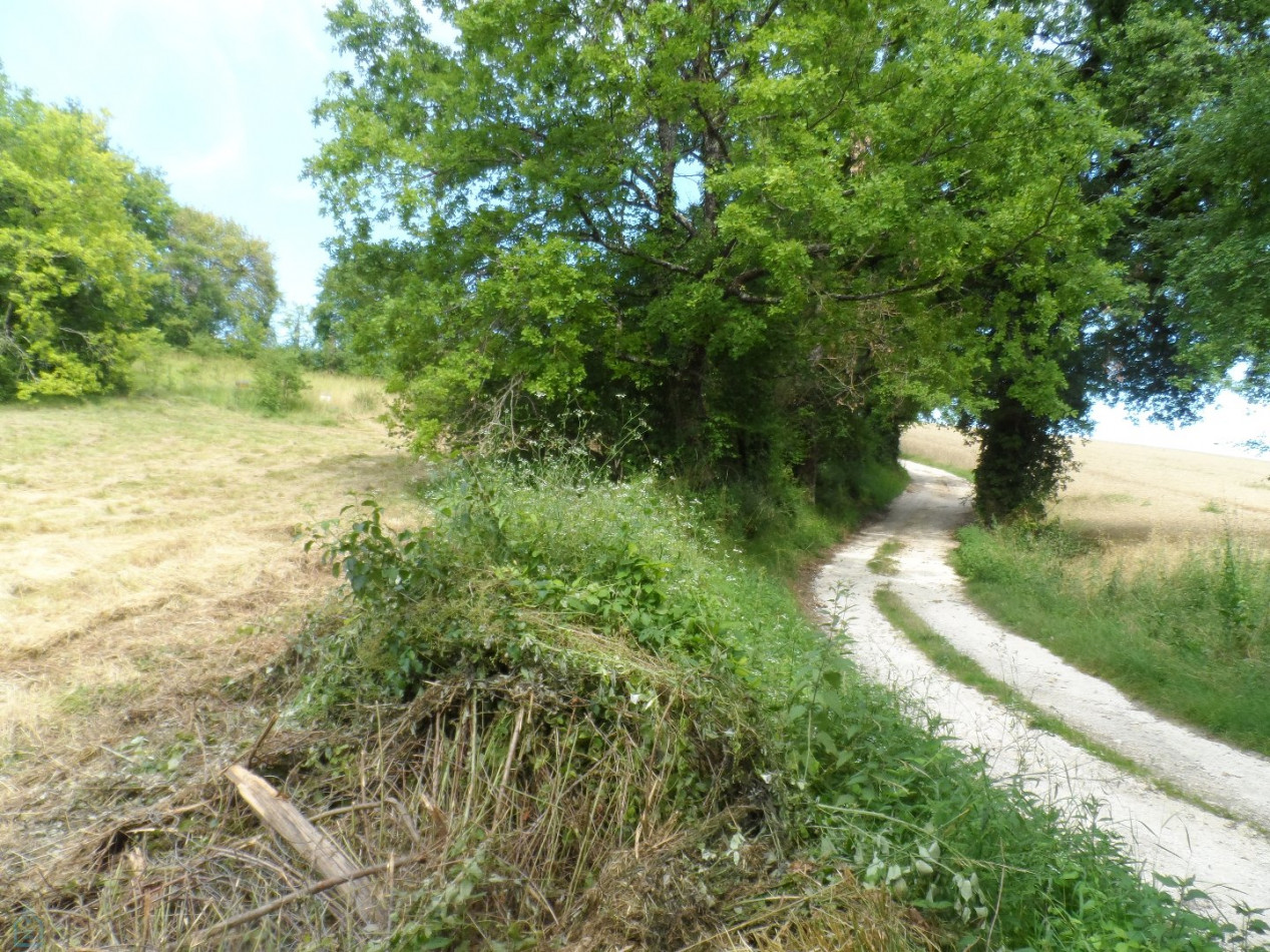 vente Terrain constructible Riberac - Photo 1