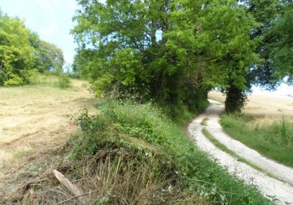 vente Terrain constructible Riberac