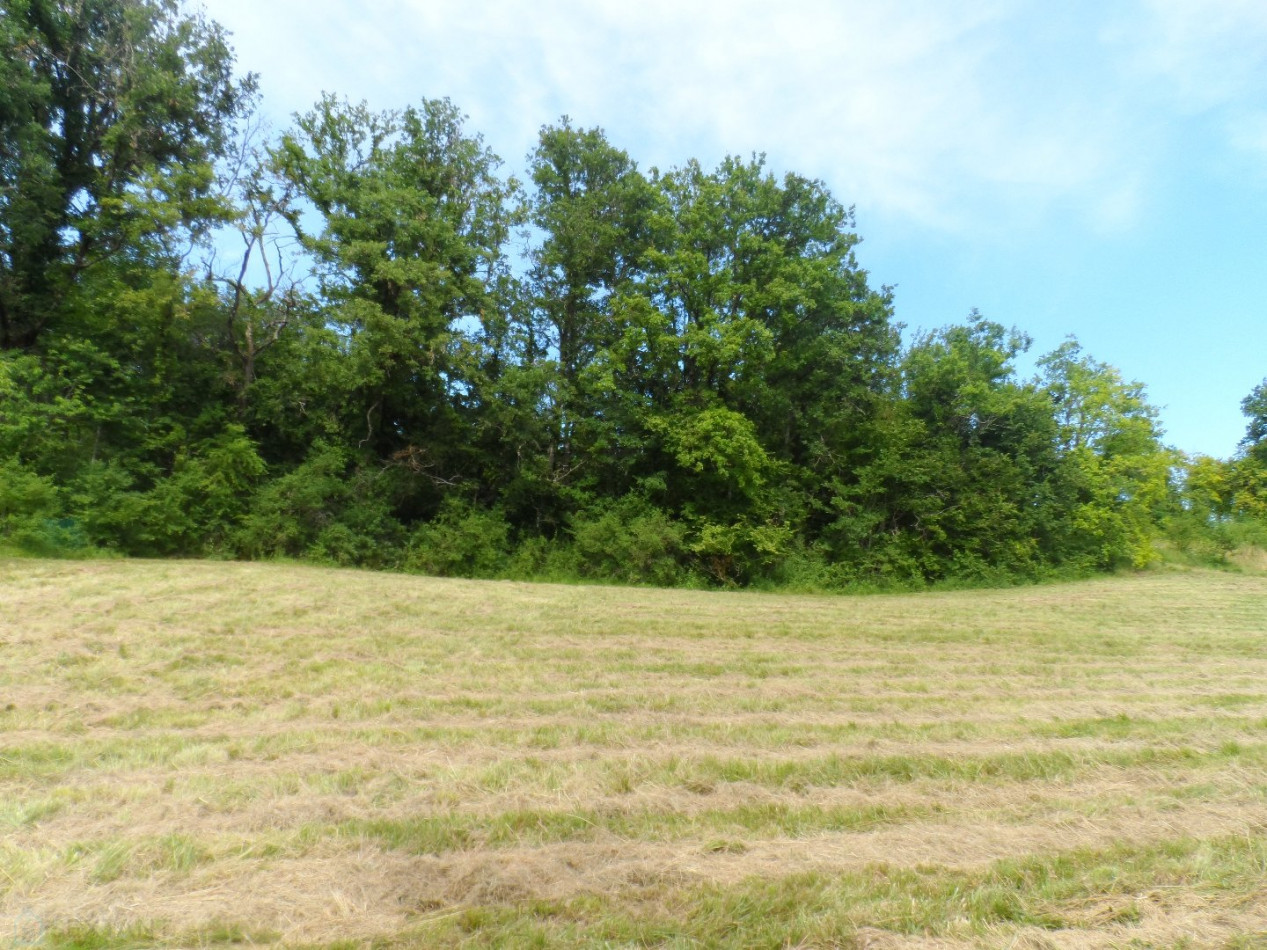 vente Terrain constructible Riberac - Photo 4