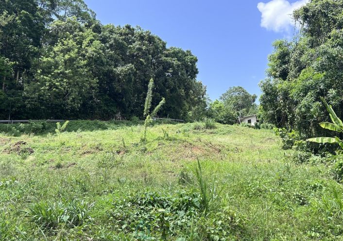 vente Terrain constructible Ducos