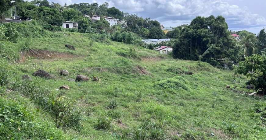 vente Terrain constructible Ducos