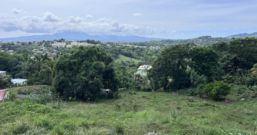 vente Terrain constructible Ducos