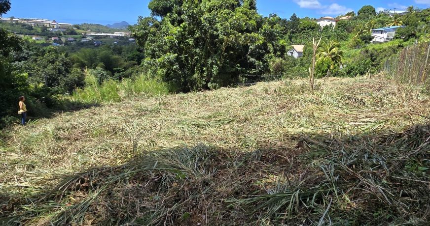 vente Terrain constructible Riviere Salee