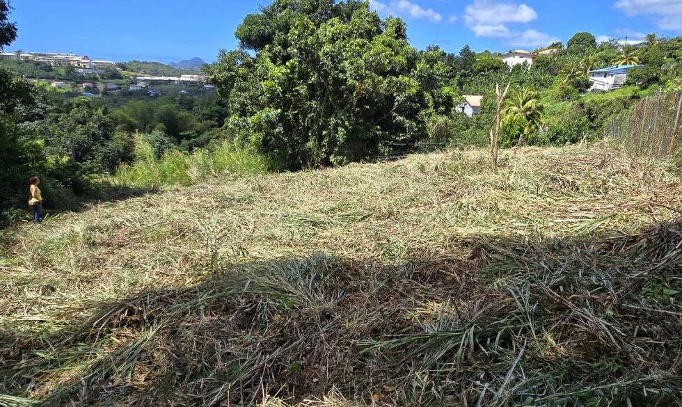 vente Riviere Salee