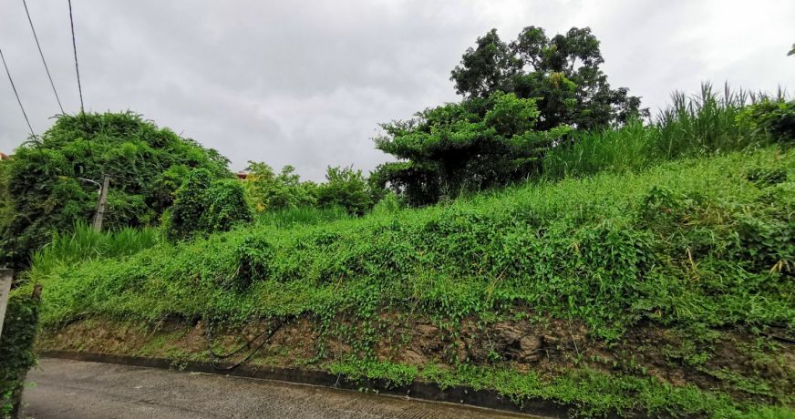 vente Terrain constructible Riviere Salee