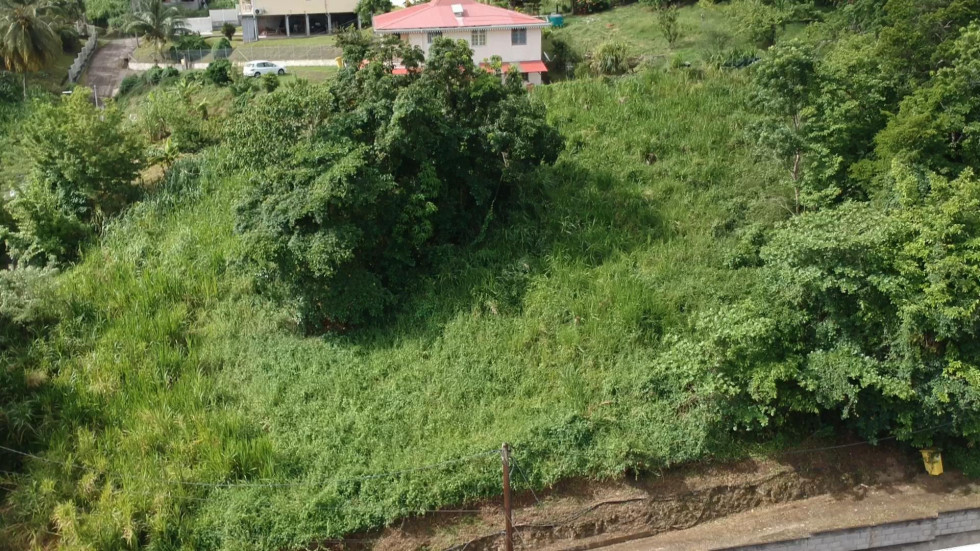 vente Terrain constructible Riviere Salee - Photo 8