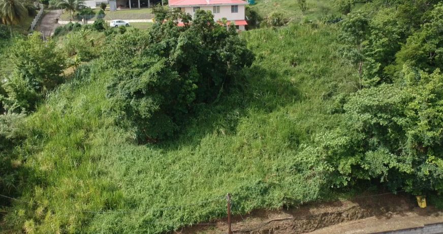 vente Terrain constructible Riviere Salee