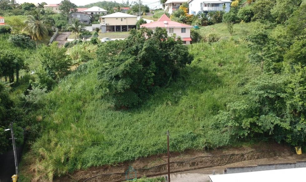 vente Riviere Salee