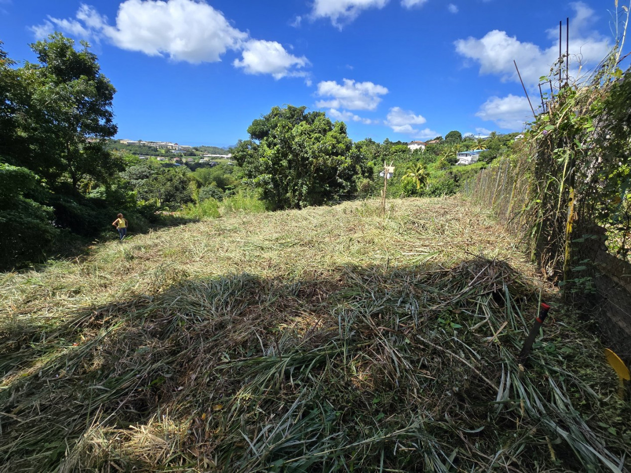 vente Terrain constructible Riviere Salee - Photo 4