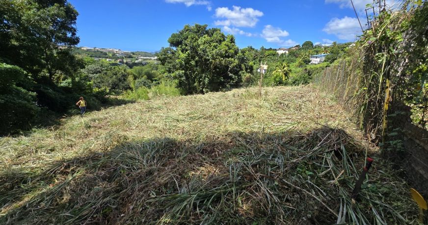 vente Terrain constructible Riviere Salee