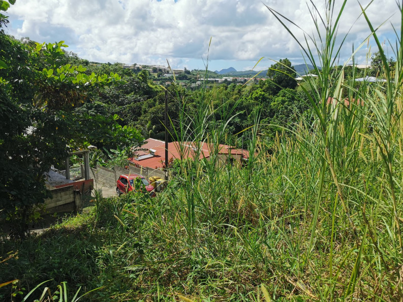 vente Terrain constructible Riviere Salee - Photo 5