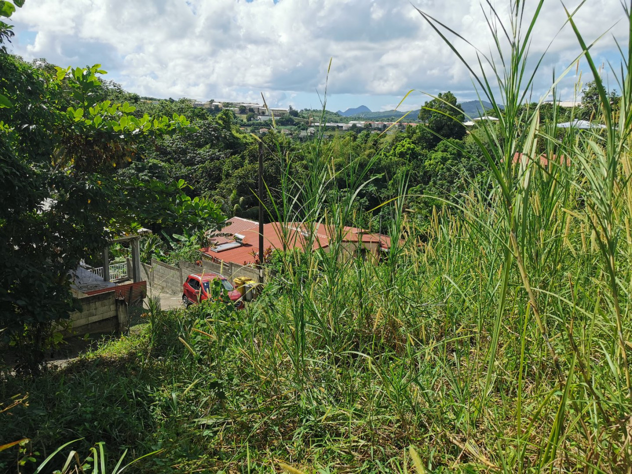 vente Terrain constructible Riviere Salee - Photo 5