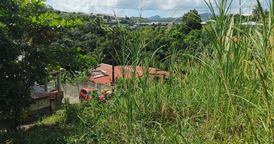 vente Terrain constructible Riviere Salee