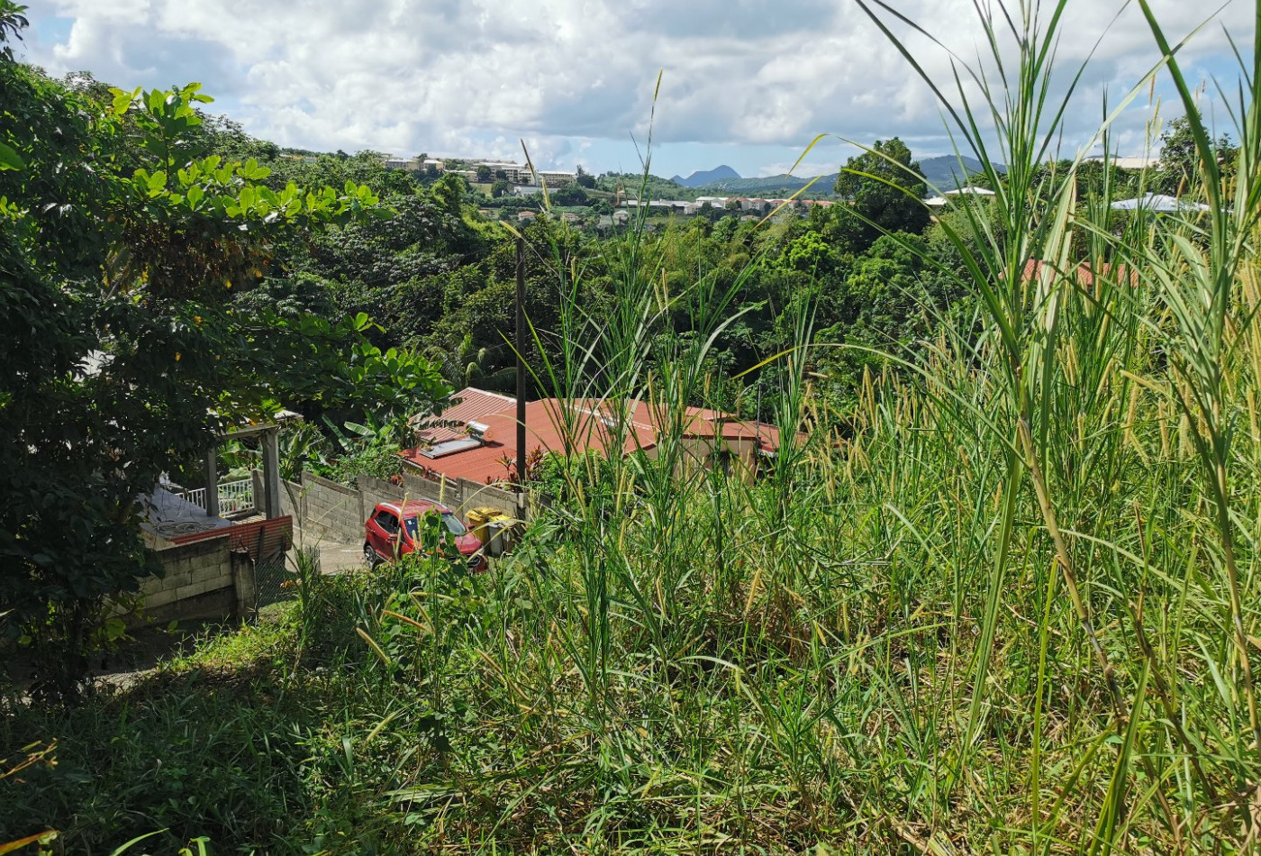 vente Terrain constructible Riviere Salee - Photo 6