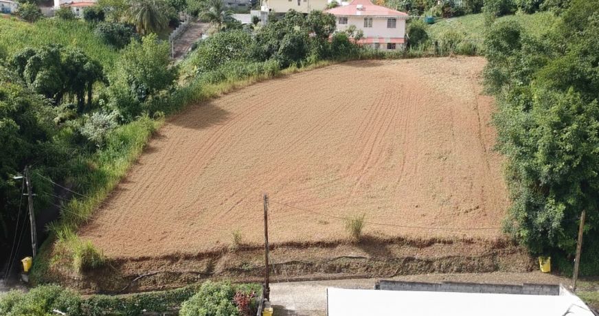 vente Terrain constructible Riviere Salee