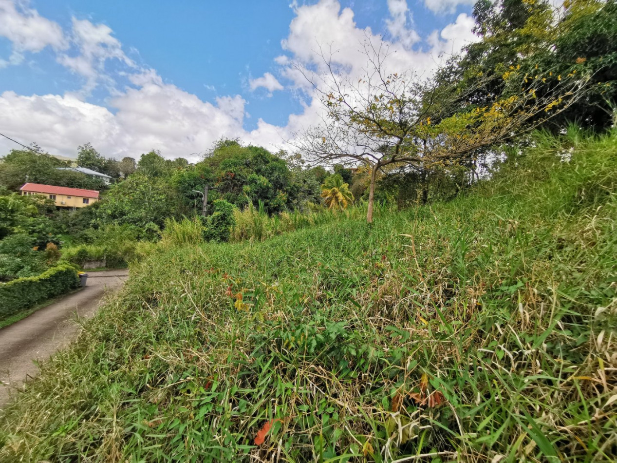 vente Terrain constructible Riviere Salee - Photo 6