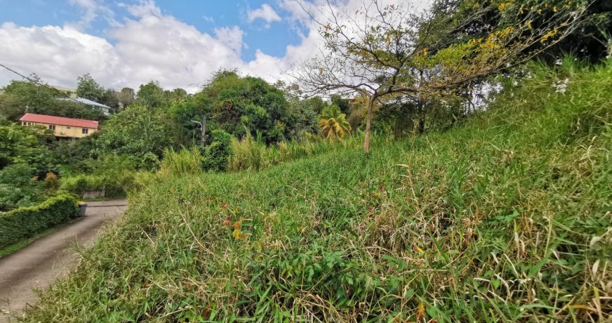 vente Terrain constructible Riviere Salee