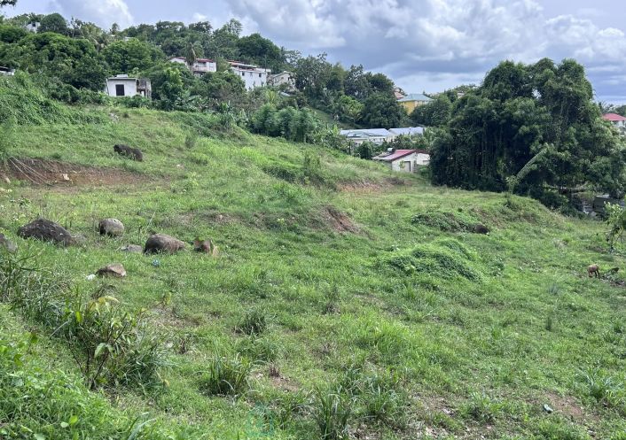 vente Terrain constructible Ducos
