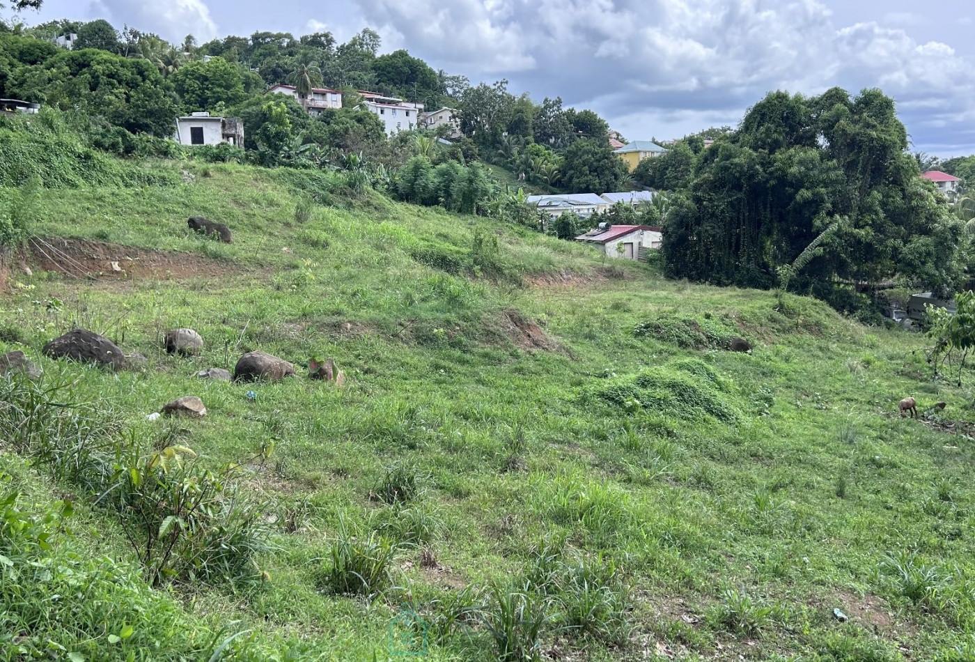 vente Terrain constructible Ducos - Photo 1