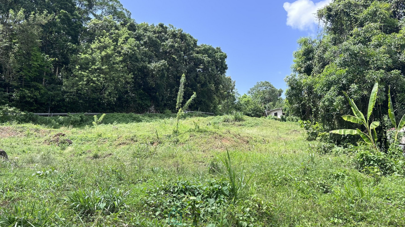 vente Terrain constructible Ducos - Photo 2