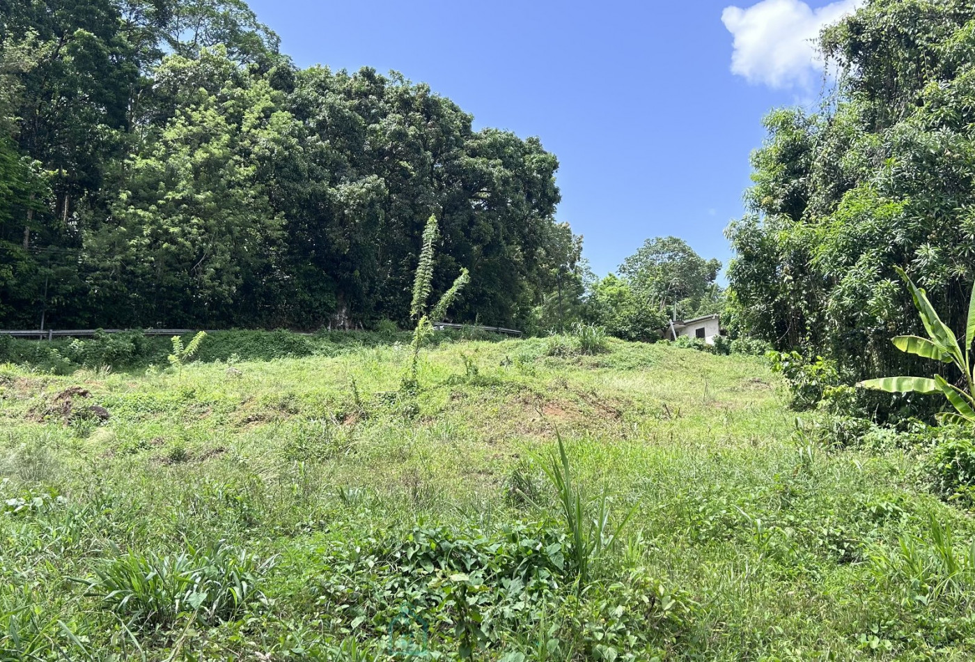 vente Terrain constructible Ducos - Photo 2