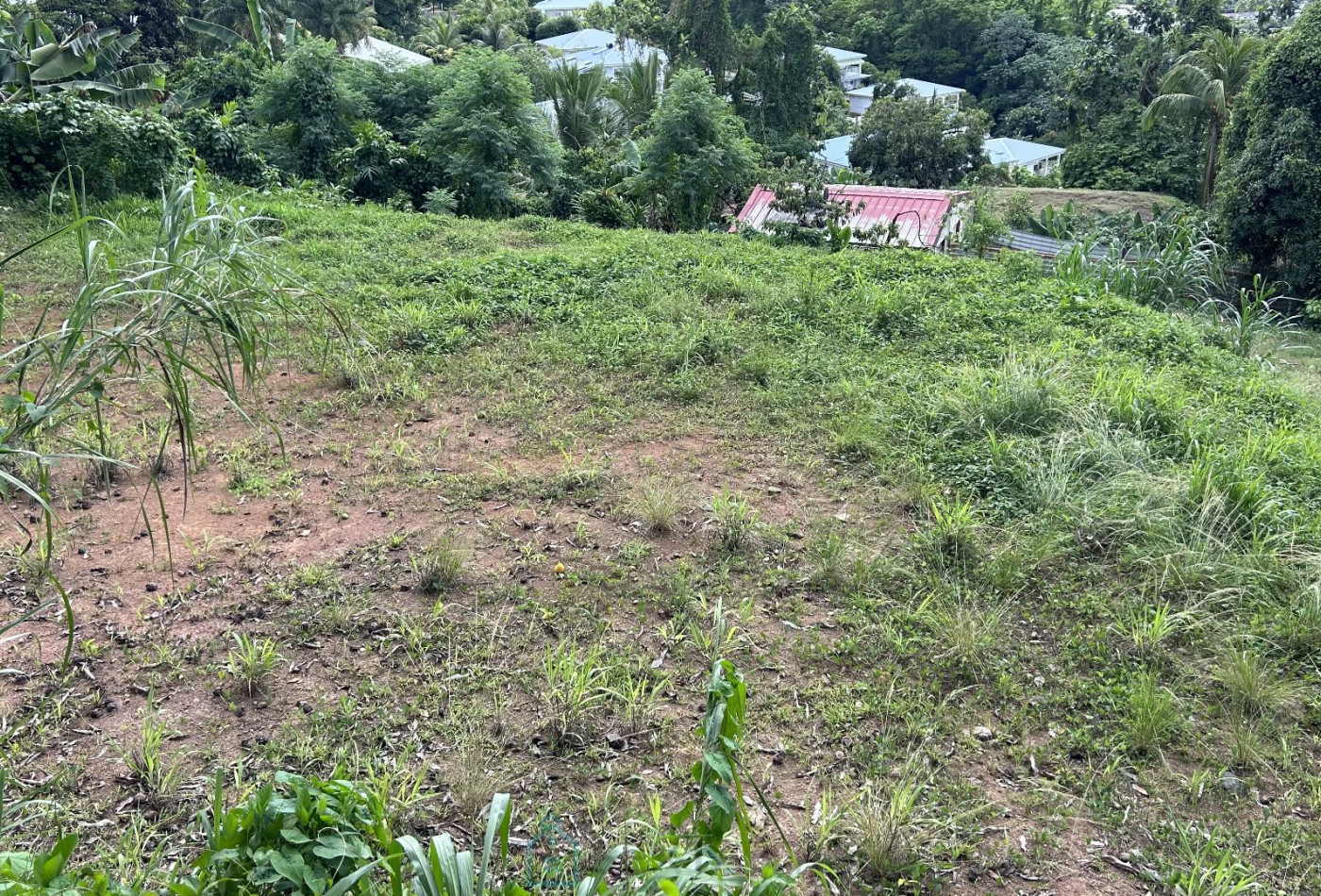 vente Terrain constructible Ducos - Photo 3