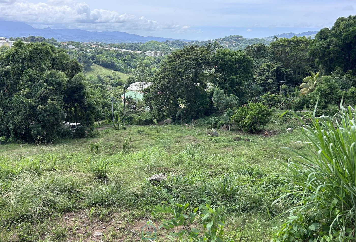 vente Terrain constructible Ducos - Photo 5