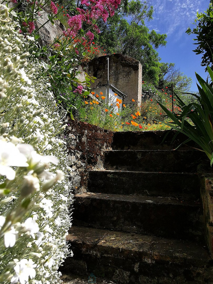 vente Maison de ville Amboise - Photo 12