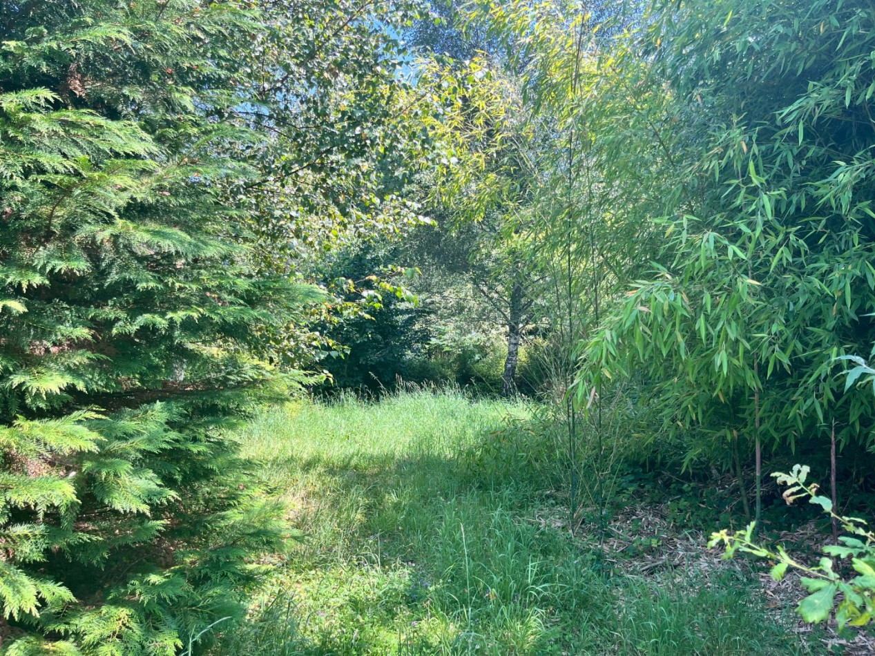 vente Terrain constructible Treignac - Photo 4