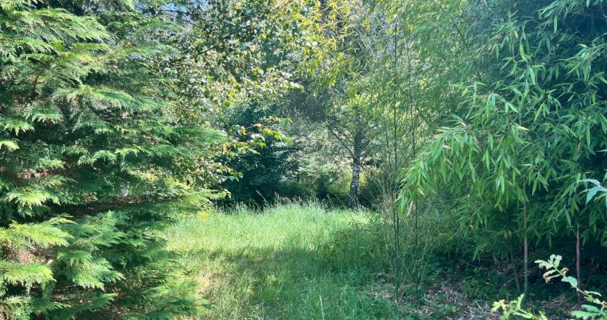 vente Terrain constructible Treignac