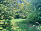 vente Terrain constructible Treignac
