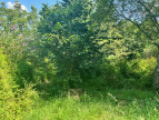 vente Terrain constructible Treignac