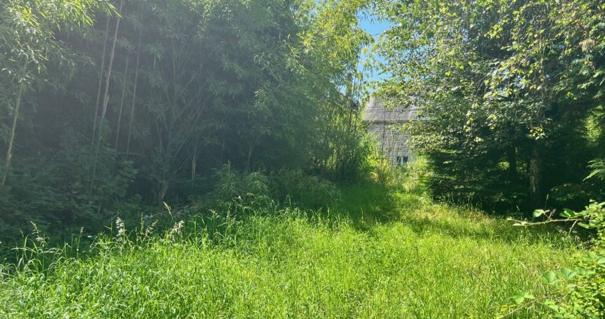 vente Terrain constructible Treignac