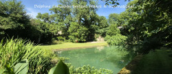 vente Maison de village Eymet