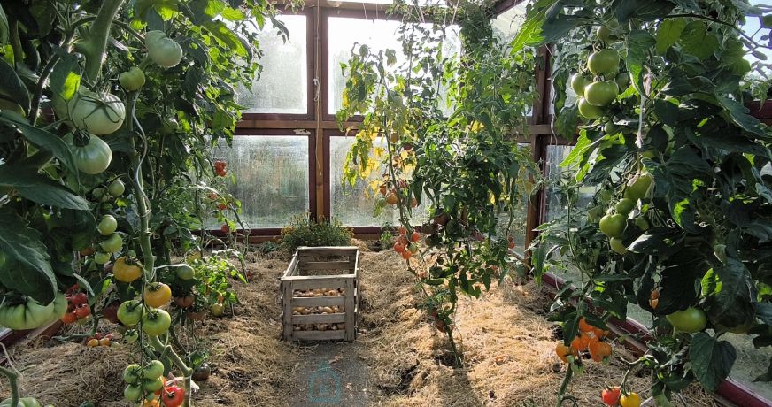 vente Maison Lisieux