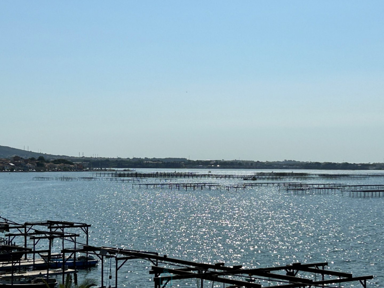 vente Maison Bouzigues - Photo 15