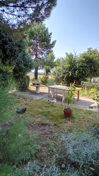 vente Maison individuelle Vaux Sur Mer - Photo 5