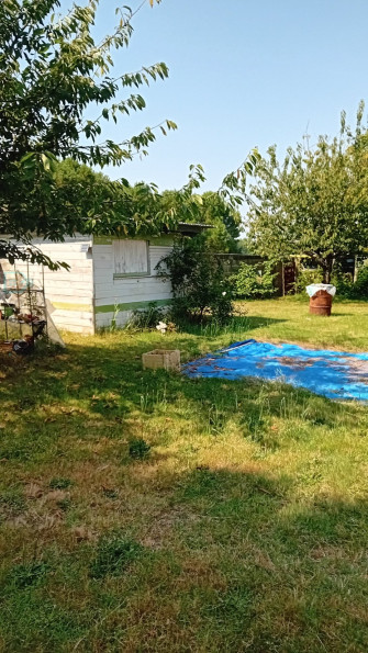 vente Maison individuelle Vaux Sur Mer - Photo 4