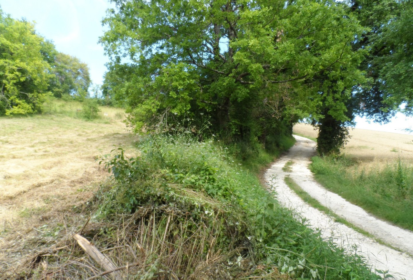 vente Terrain constructible Riberac - Photo 5