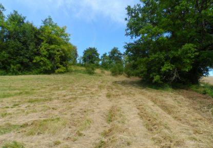 vente Terrain constructible Riberac