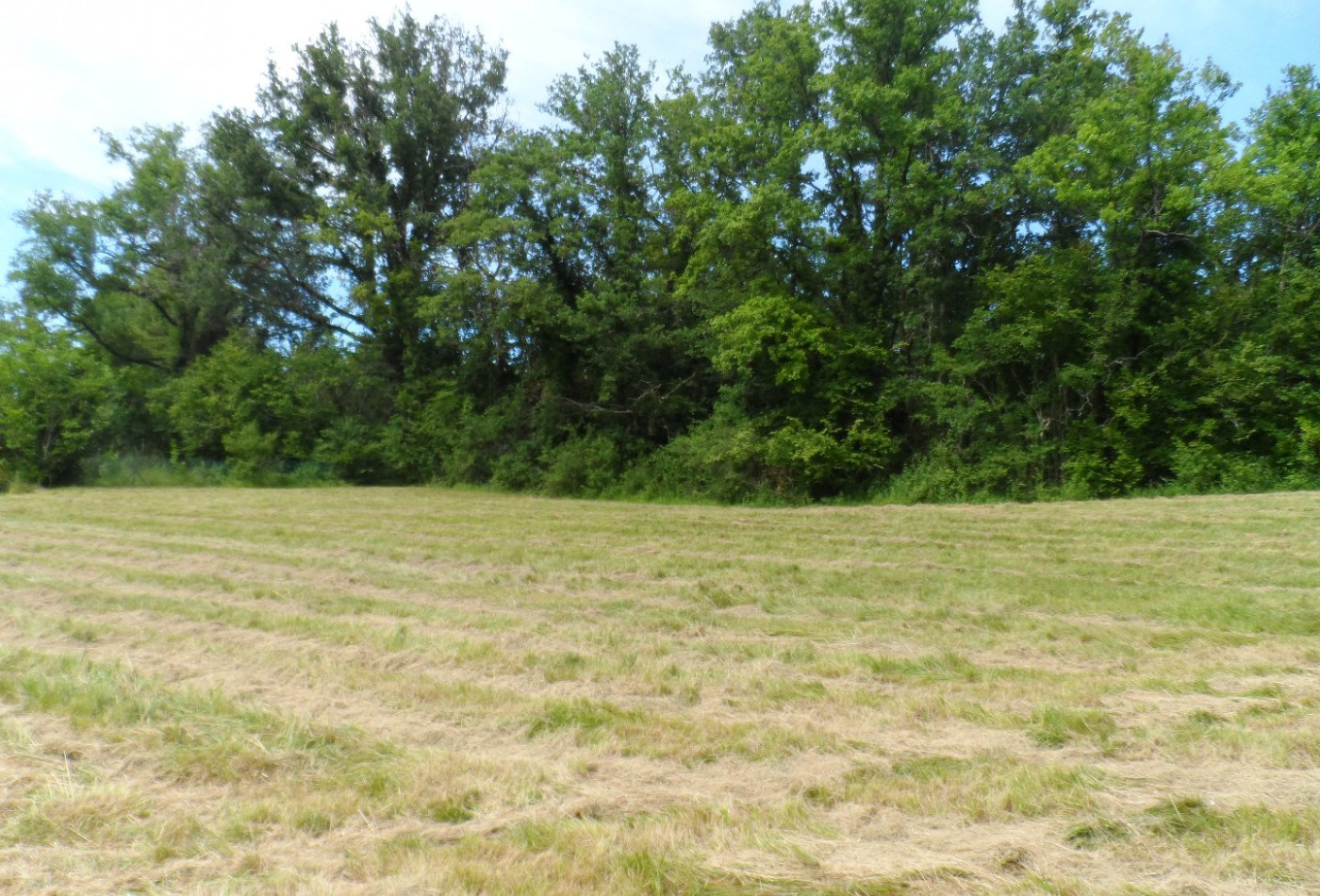 vente Terrain constructible Riberac - Photo 2