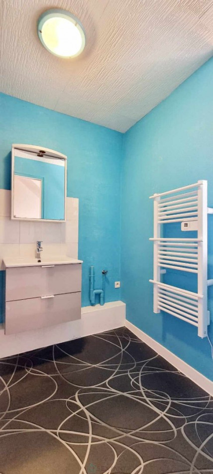 vente Maison de village Plauzat - Photo 7